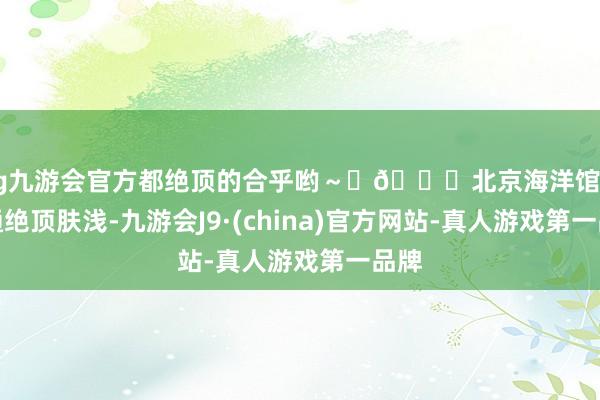 ag九游会官方都绝顶的合乎哟～	🚇北京海洋馆的交通绝顶肤浅-九游会J9·(china)官方网站-真人游戏第一品牌