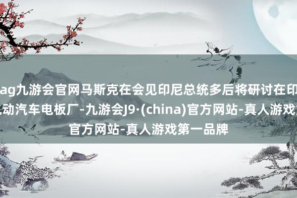 ag九游会官网马斯克在会见印尼总统多后将研讨在印尼建立电动汽车电板厂-九游会J9·(china)官方网站-真人游戏第一品牌