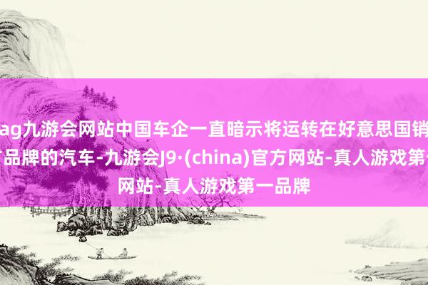 ag九游会网站中国车企一直暗示将运转在好意思国销售我方品牌的汽车-九游会J9·(china)官方网站-真人游戏第一品牌