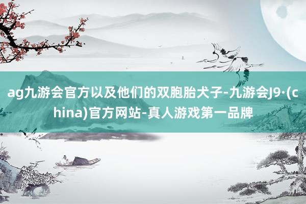 ag九游会官方以及他们的双胞胎犬子-九游会J9·(china)官方网站-真人游戏第一品牌