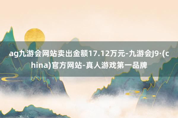 ag九游会网站卖出金额17.12万元-九游会J9·(china)官方网站-真人游戏第一品牌