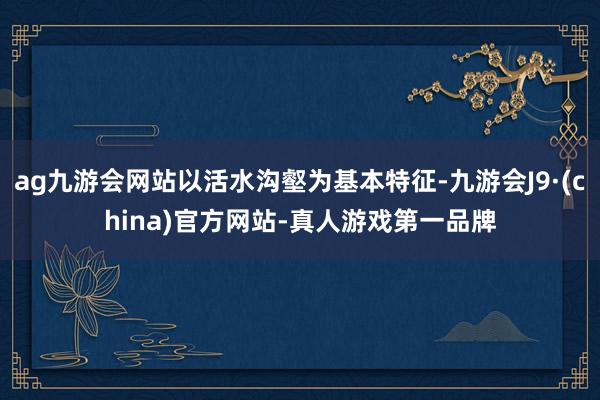 ag九游会网站以活水沟壑为基本特征-九游会J9·(china)官方网站-真人游戏第一品牌