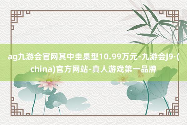 ag九游会官网其中圭臬型10.99万元-九游会J9·(china)官方网站-真人游戏第一品牌