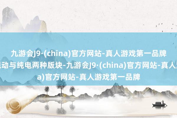 九游会J9·(china)官方网站-真人游戏第一品牌会提供插电混动与纯电两种版块-九游会J9·(china)官方网站-真人游戏第一品牌