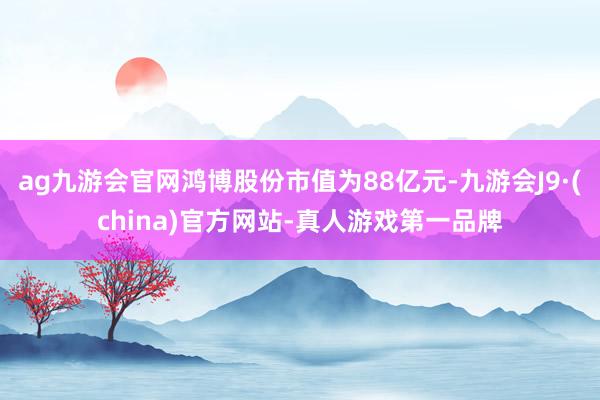 ag九游会官网鸿博股份市值为88亿元-九游会J9·(china)官方网站-真人游戏第一品牌