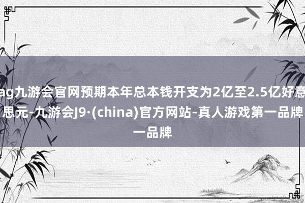 ag九游会官网预期本年总本钱开支为2亿至2.5亿好意思元-九游会J9·(china)官方网站-真人游戏第一品牌