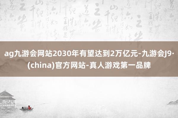 ag九游会网站2030年有望达到2万亿元-九游会J9·(china)官方网站-真人游戏第一品牌