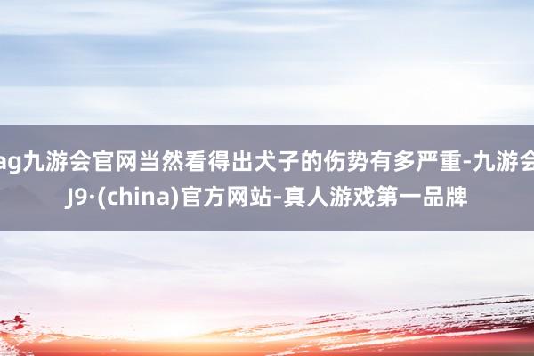 ag九游会官网当然看得出犬子的伤势有多严重-九游会J9·(china)官方网站-真人游戏第一品牌