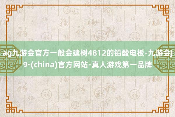 ag九游会官方一般会建树4812的铅酸电板-九游会J9·(china)官方网站-真人游戏第一品牌