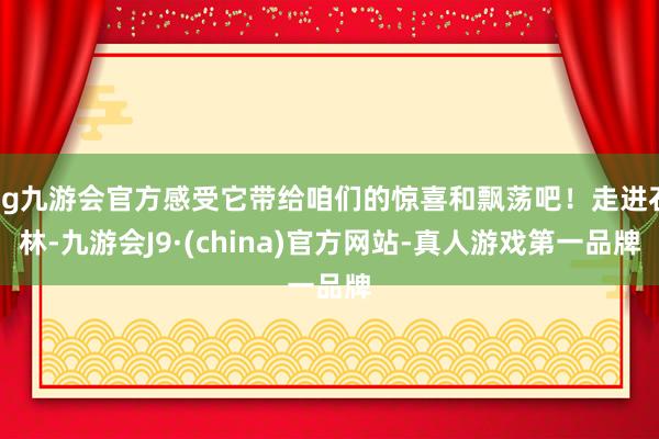 ag九游会官方感受它带给咱们的惊喜和飘荡吧！走进石林-九游会J9·(china)官方网站-真人游戏第一品牌