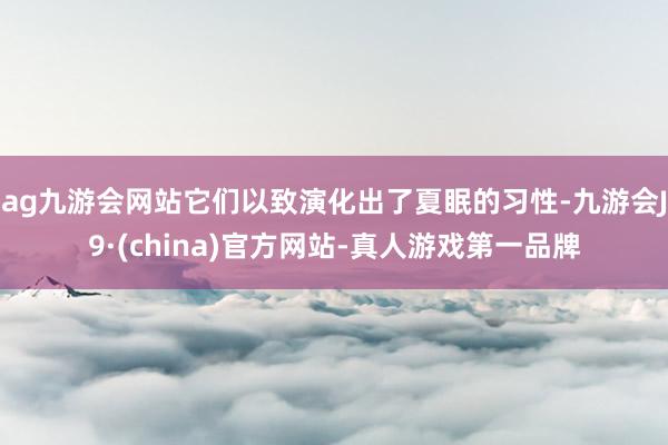 ag九游会网站它们以致演化出了夏眠的习性-九游会J9·(china)官方网站-真人游戏第一品牌