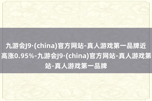 九游会J9·(china)官方网站-真人游戏第一品牌近三个月高涨0.95%-九游会J9·(china)官方网站-真人游戏第一品牌