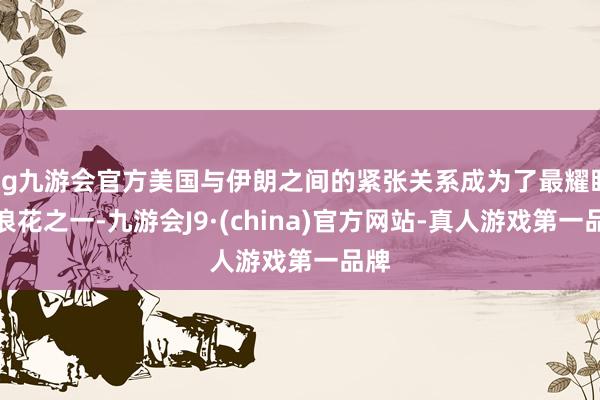 ag九游会官方美国与伊朗之间的紧张关系成为了最耀眼的浪花之一-九游会J9·(china)官方网站-真人游戏第一品牌