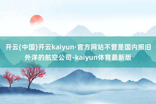 开云(中国)开云kaiyun·官方网站不管是国内照旧外洋的航空公司-kaiyun体育最新版