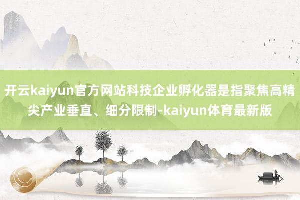 开云kaiyun官方网站科技企业孵化器是指聚焦高精尖产业垂直、细分限制-kaiyun体育最新版