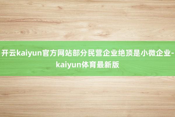 开云kaiyun官方网站部分民营企业绝顶是小微企业-kaiyun体育最新版