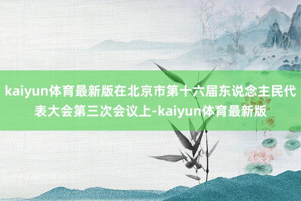 kaiyun体育最新版在北京市第十六届东说念主民代表大会第三次会议上-kaiyun体育最新版